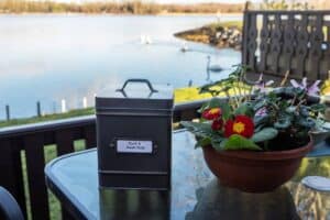 Duck food provided for guests at Sandmartin Lodge