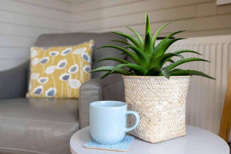 Cosy corner of the lounge at Keer Lodge